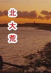 强漂亮女老板完整版